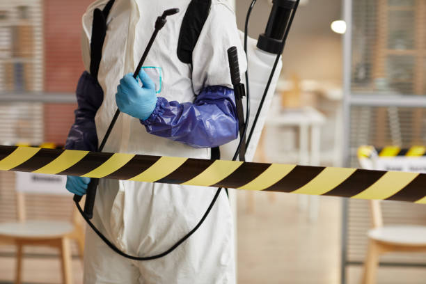 Professional Hoarding Cleanup technician working in Waverly, NY